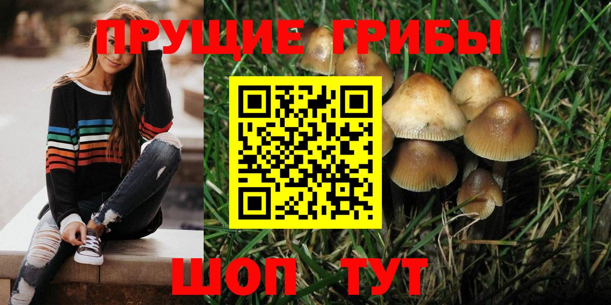 ГАШИШ  МЕФ кристаллы  Йошкар-Ола  Cocaine  Вход с VPN  Как найти наркотики?  Конопля  MDMA  Экстази 
