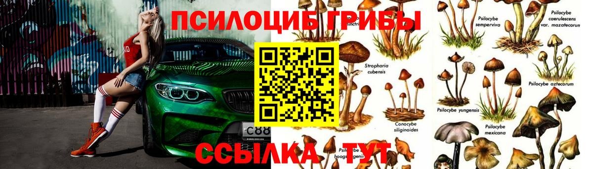 Псилоцибиновые грибы Magic Shrooms Йошкар-Ола